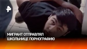 Мигрант напрасно отправлял 13-летней порноролики – познакомился с силовиками