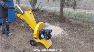 Бензиновый измельчитель веток Laski LS 65/CH