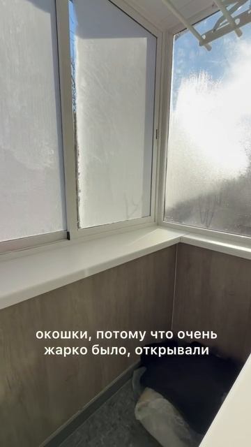 3 кк, Пушкина 11