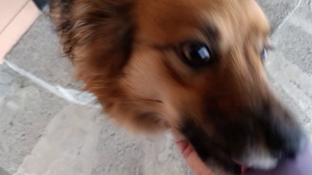 Красотульки мои смотреть онлайн