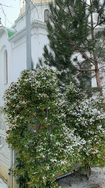 Зимняя атмосфера в Крыму смотреть онлайн