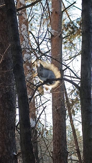 Вкусненька