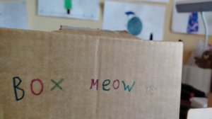 BOX MEOW 🐱