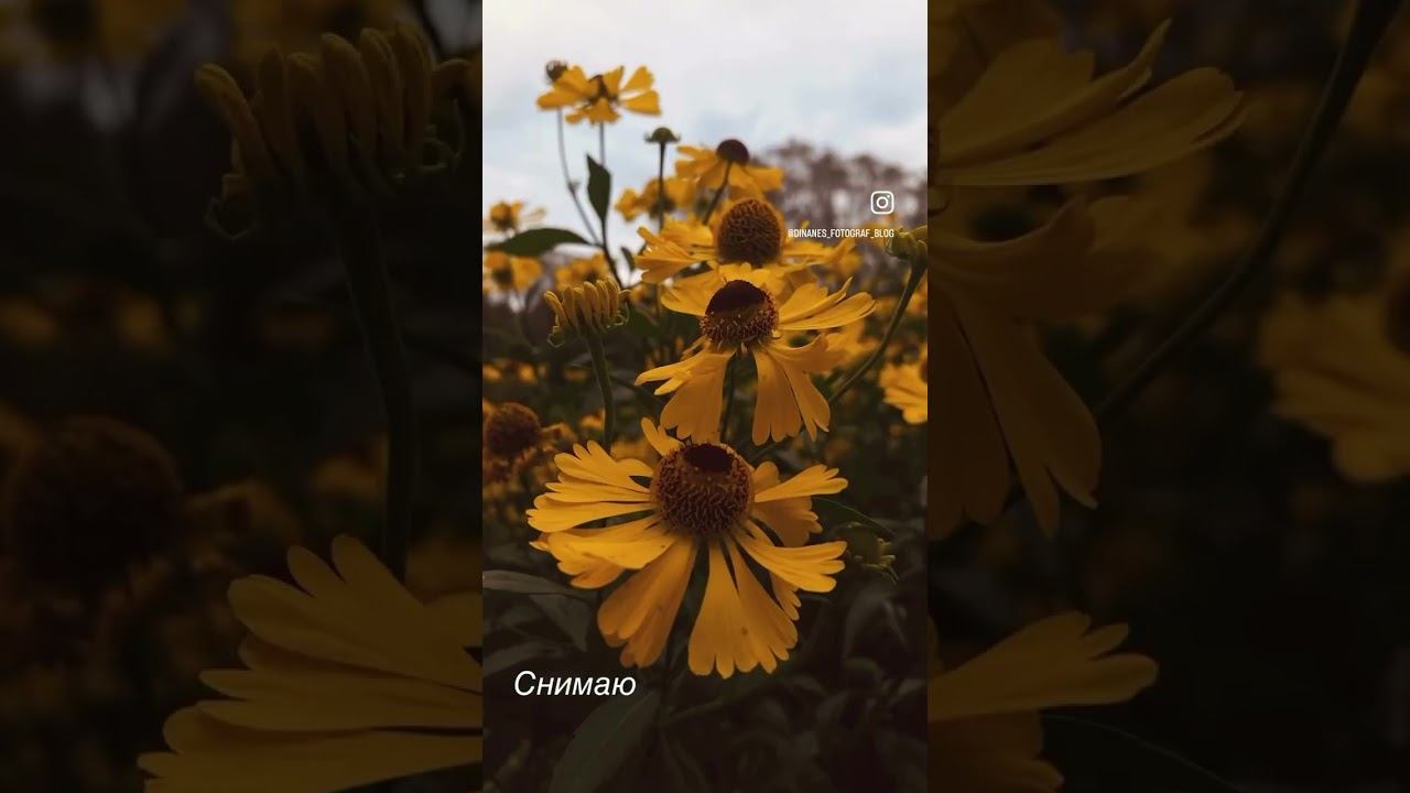 Будни фотографа #буднимамы #буднифотографа #фотограф #фотографирую #снимаю #снимаюнаайфон #видео