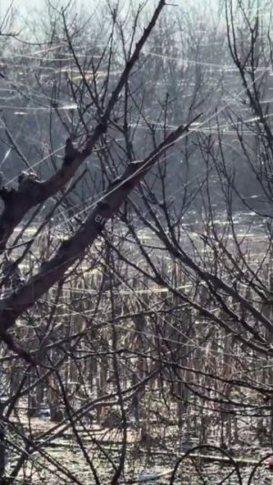 🔴Оптоволокно от «FPV-дронов» на Донбассе.🔴