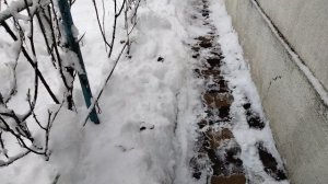 Зимушка-зима.