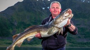 ЗА ПОЛЯТНЫМ КРУГОМ .ТРЕСКА СЕВЕРНОГО МОРЯ