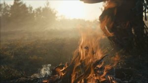 Император и купец.Сказ о том, как якутский купец Захаров царскую дипломатию справил