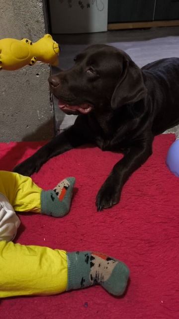 Смехотерапия. Игры с собакой до смеху 🤣