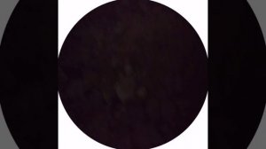 Мопеды сериал | Серия 1671