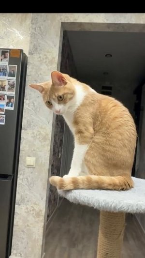 Хороший брелок 🤣