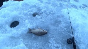 Рыбалка с боковым кивком на сельском пруду.