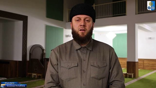 мовлид1 смотреть онлайн