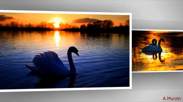 2Illusions - Close Your Eyes смотреть онлайн