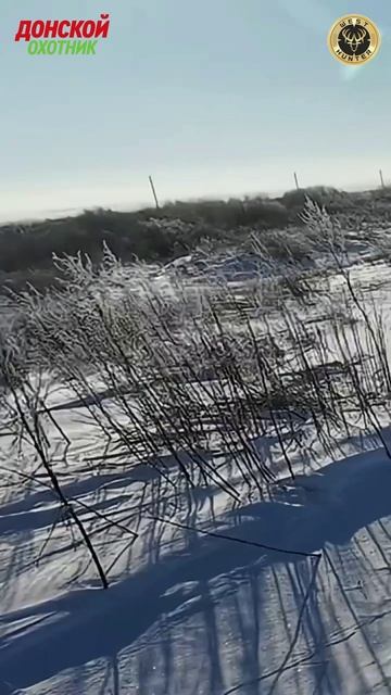 Охота на Зайца - нарезка хороших выстрелов смотреть онлайн