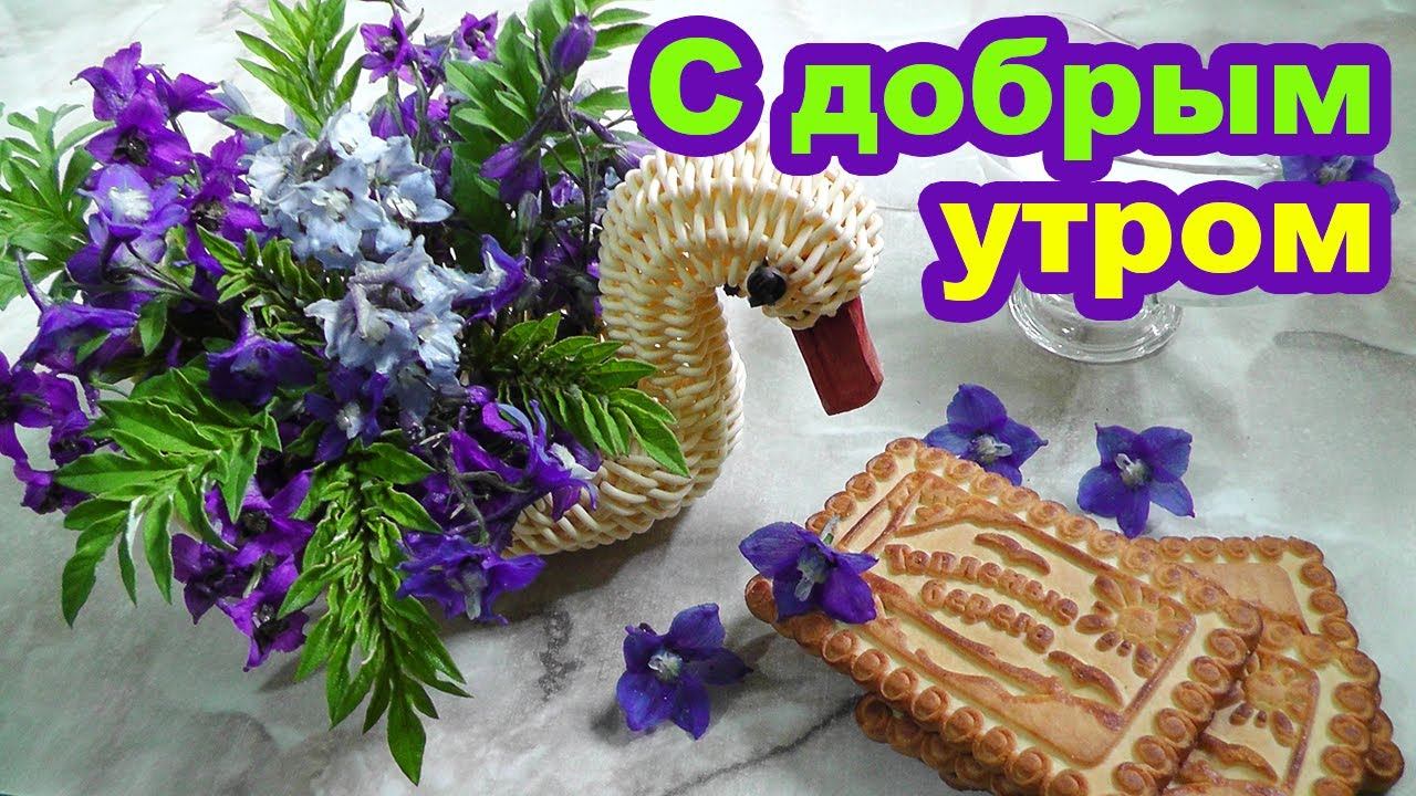 Музыкальное утреннее приветствие. Желаю доброго утра и хорошего дня. Утренние пожелания в стихах