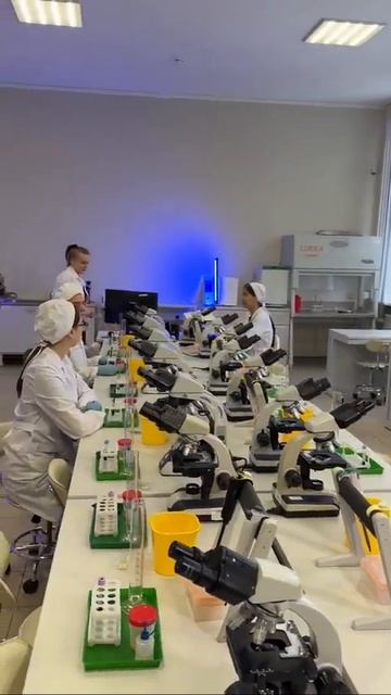 Сегодня в кадре — наши талантливые студенты! Мы рады поделиться с вами настоящими моментами их уч... смотреть онлайн