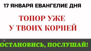 Евангелие дня Секира при корне дерев. Страшное пророчество Иоанна Предтечи.
