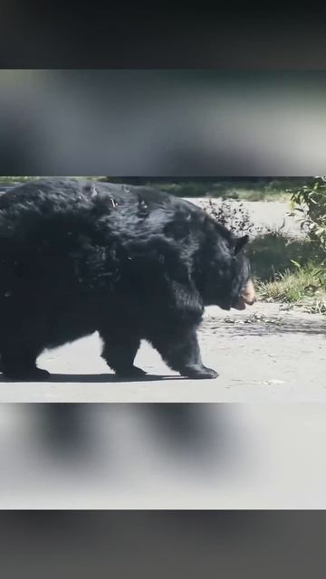 1000102553.mp4 смотреть онлайн