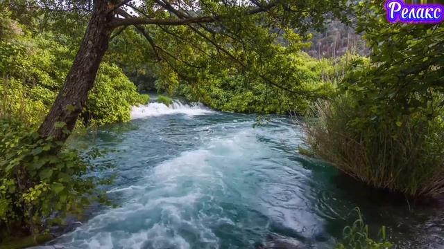 Релакс. смотреть онлайн