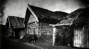 Истории про деревню.