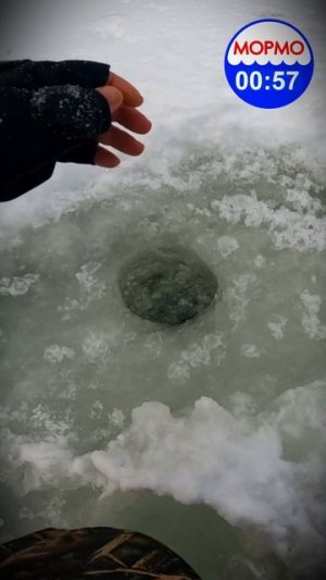 Трофей из лунки. Я в шоке!) #рыбалка