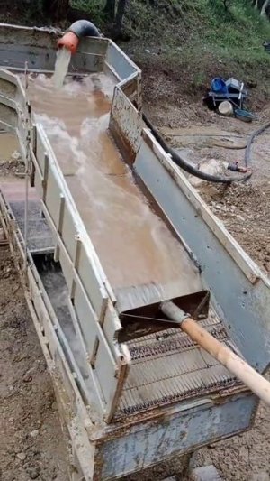 Поиск золота