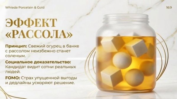 Система работы команды BIG MONEY CHINA.