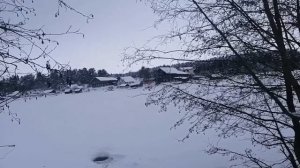 Готовим баню 🍀 Проверяем улья 🍀