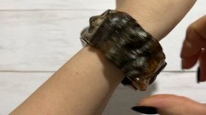 Новинки.Янтарь.