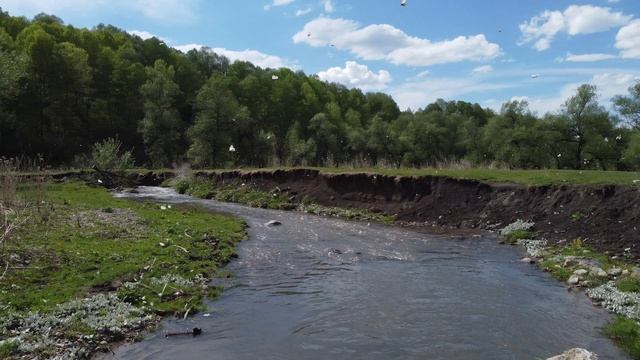 Sibeerka смотреть онлайн