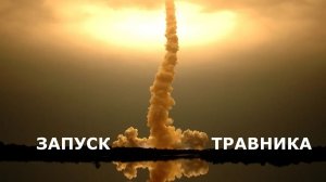 Запуск аквариума и посадка растений в акваскейп