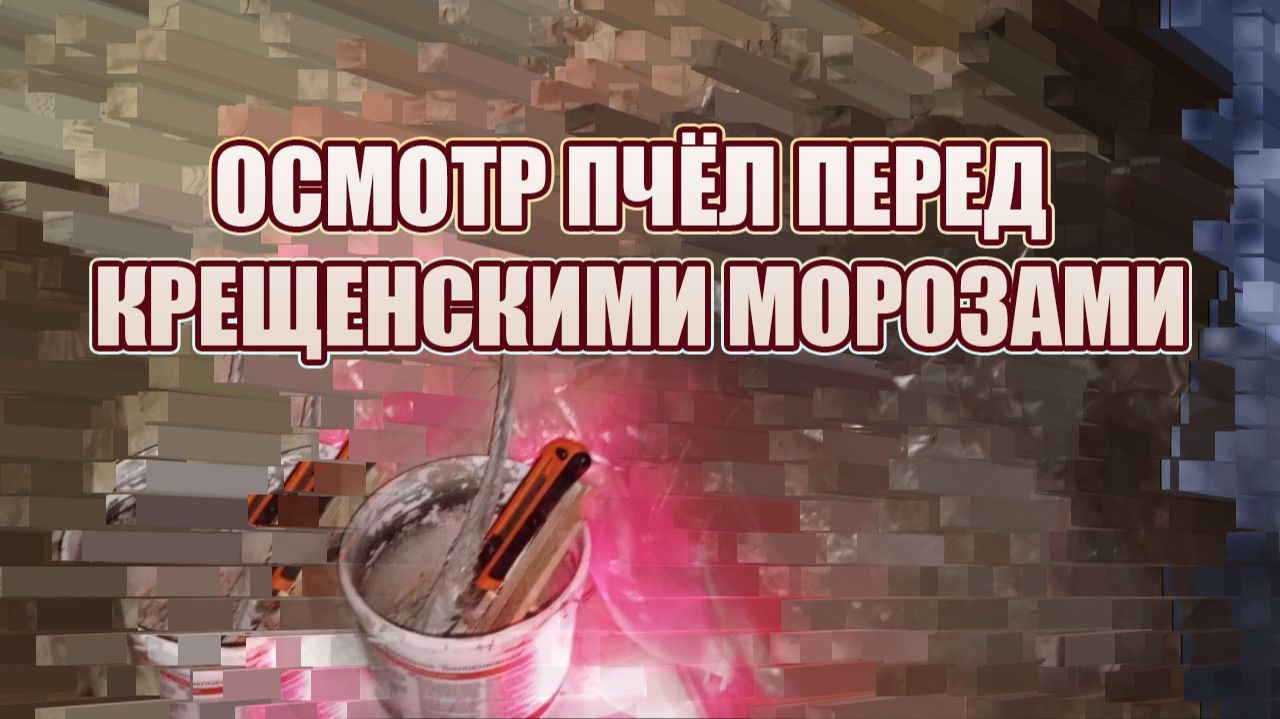 16 января 26 года, осмотр пчёл, перед Крещенскими морозами 🥶 смотреть онлайн
