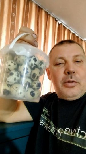 Лучший подарок жене — ВЕДРО ЯИЦ! 🎁🥚