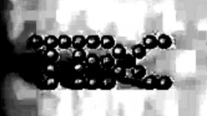 you won't shut us up