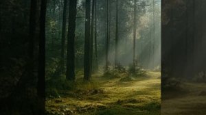 держите кушайте)