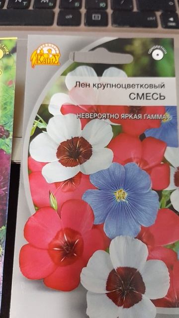 Однолетники для прямого посева в грунт. смотреть онлайн