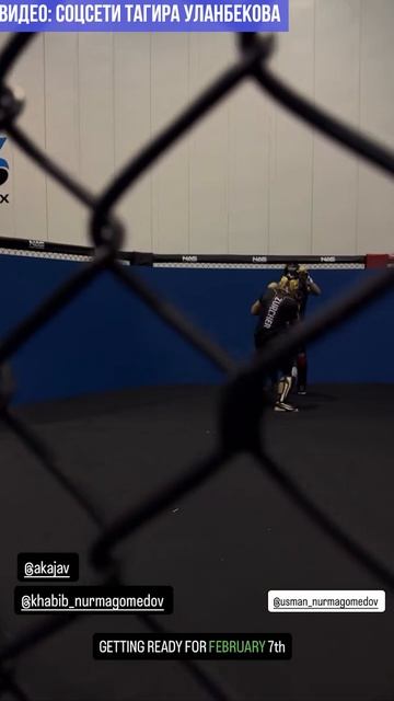 ЖЕСТКИЙ и ЧЕТКИЙ контроль Хабиба за работой Усмана Нурмагомедова в спарринге смотреть онлайн