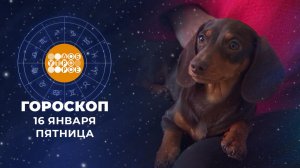 Гороскоп на 16 января. Доброе утро. Фрагмент выпуска от 16.01.2026