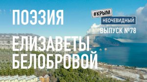 #КрымНеОчевидный: Тебе Крым (Глава 293). Поэзия Елизаветы Белобровой - Новый Год... Стихи о Крыме.