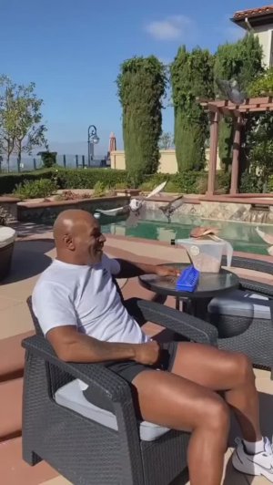 Великий Майк Тайсон и его голуби!