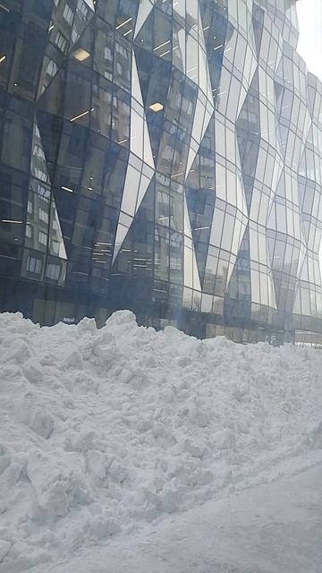 1000091133.mp4 смотреть онлайн