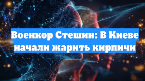 Военкор Стешин: В Киеве начали жарить кирпичи
