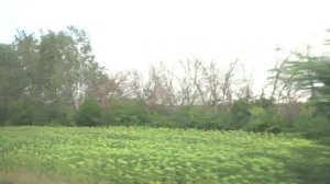 Пейзажи Урюпинского района