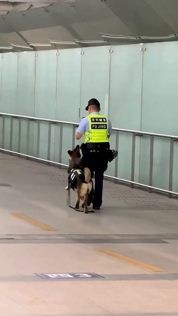 1000102554.mp4 смотреть онлайн