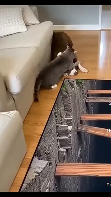 когда от страха всем хана!!!!! смотреть онлайн