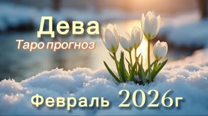 ДЕВА ‼️ ТАРО ПРОГНОЗ НА ФЕВРАЛЬ 2026