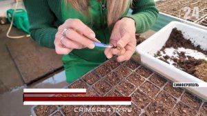 Как среди зимы готовят весну для улиц Симферополя?