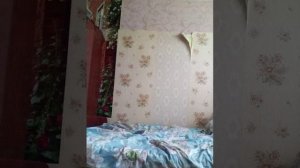 VID_20260116_132709.3gp