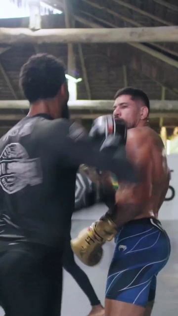 Алекс Перейра спаррингует с тяжеловесом ростом 206см в Бразилии смотреть онлайн